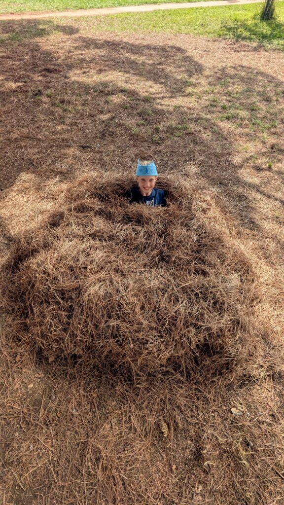 WhatsApp Image 2025-10-08 at 14.27.51 (3)